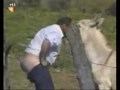 самые смешные видео про животных, со всего рунета! (2)